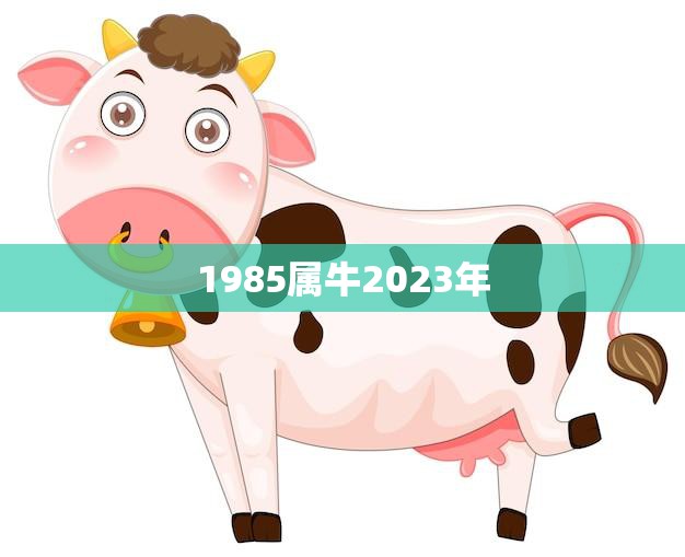 1985属牛2023年(牛年人的运势展望)