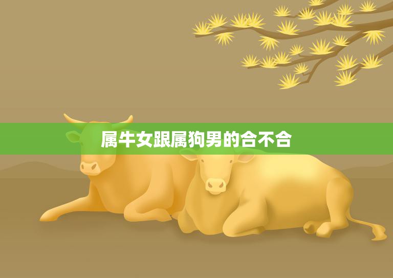 属牛女跟属狗男的合不合(星座配对分析)