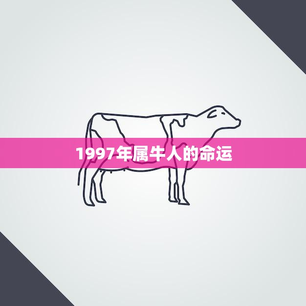 1997年属牛人的命运(未来之路挑战与机遇)
