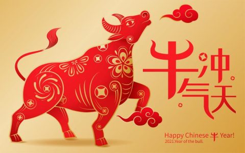 1997年属牛姻缘在哪(寻找爱情的最佳时机)