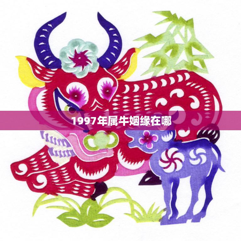 1997年属牛姻缘在哪(寻找爱情的最佳时机)