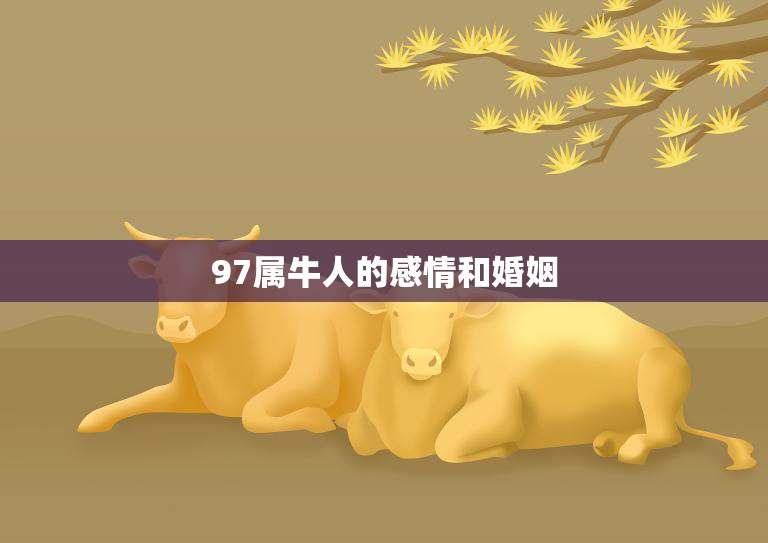 97属牛人的感情和婚姻(如何避免婚姻危机)