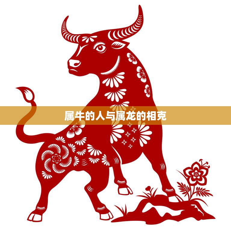 属牛的人与属龙的相克(解读十二生肖中的相生相克关系)