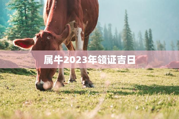 属牛2023年领证吉日(如何选择最佳结婚日期)