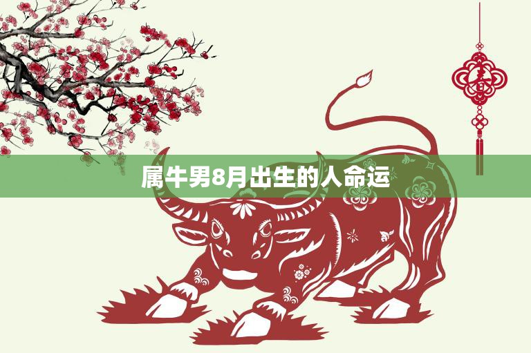 属牛男8月出生的人命运(未来如何)