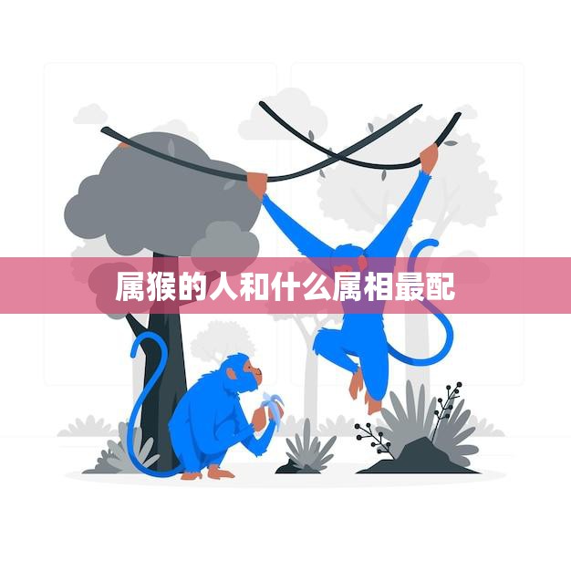 属猴的人和什么属相最配(最佳配对大揭秘)
