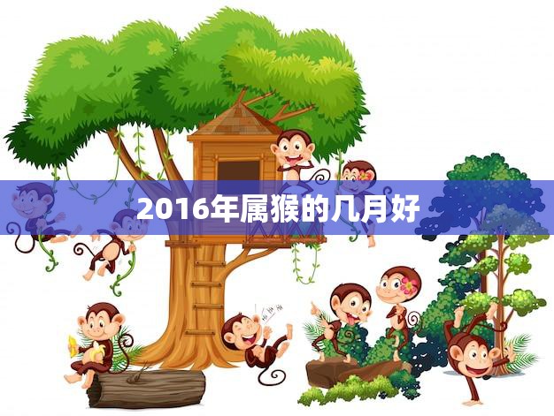 2016年属猴的几月好(猴年财运旺盛这几个月最适合投资理财)