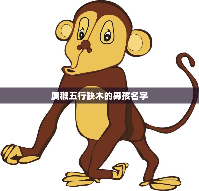 属猴五行缺木的男孩名字(如何选择)