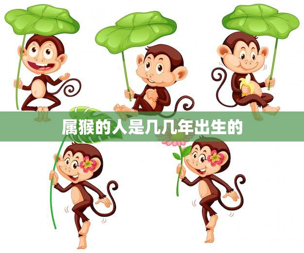 属猴的人是几几年出生的(猴年生肖解析)