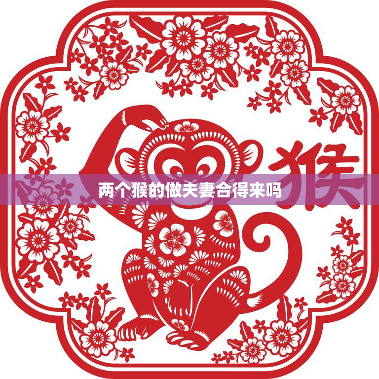 两个猴的做夫妻合得来吗(探究猴子社交行为的奥秘)