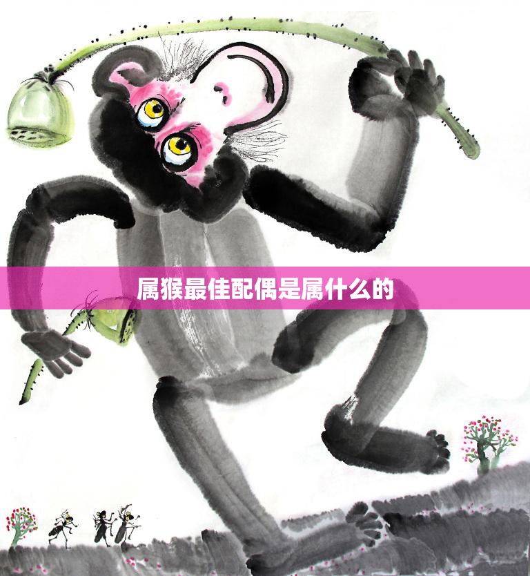 属猴最佳配偶是属什么的(揭秘猴子最佳婚姻组合)