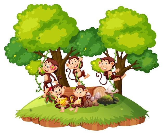 属猴的跟什么属相最般配(十二生肖配对大揭秘)