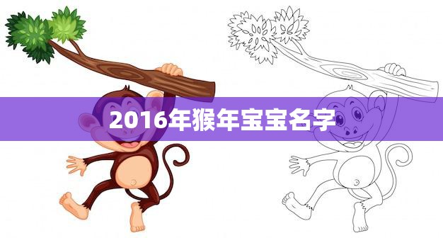 2016年猴年宝宝名字(如何选择)