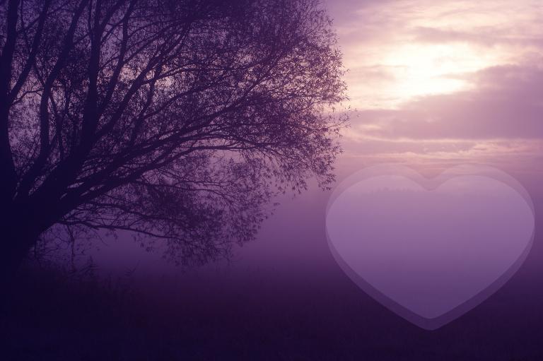 2000年最佳婚配年龄(揭秘结婚最佳年龄是多少)