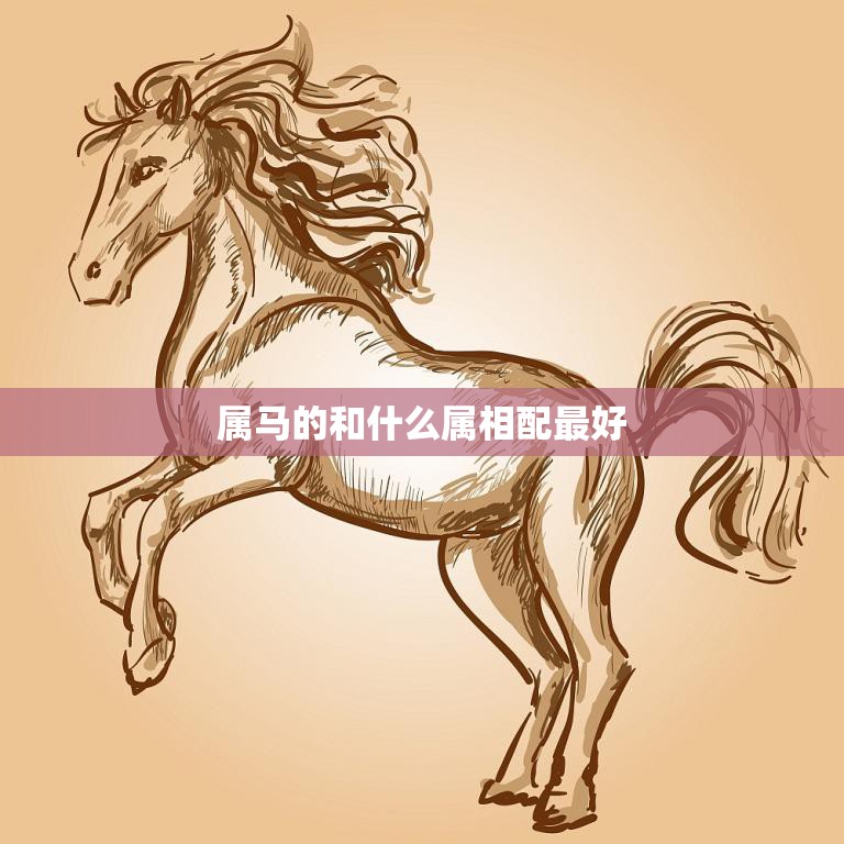 属马的和什么属相配最好(最佳配对指南)