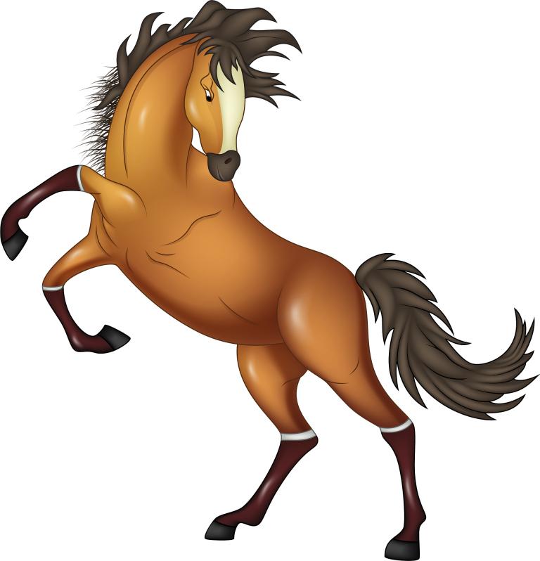 66年属马二次婚姻怎样(幸福再续经验分享)