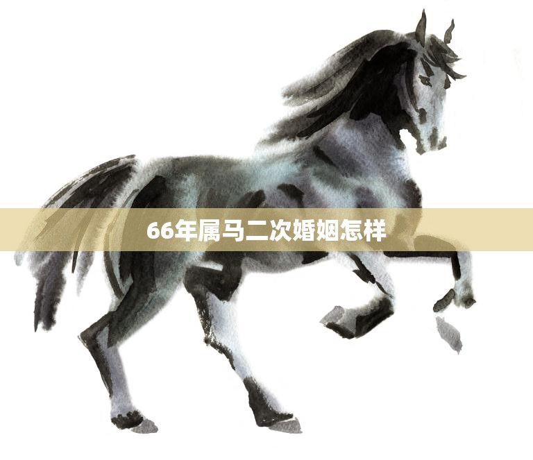 66年属马二次婚姻怎样(幸福再续经验分享)