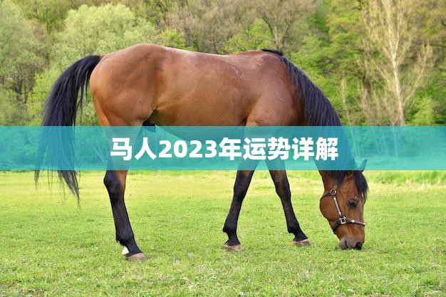 马人2023年运势详解(事业财运双丰收感情生活多波折)