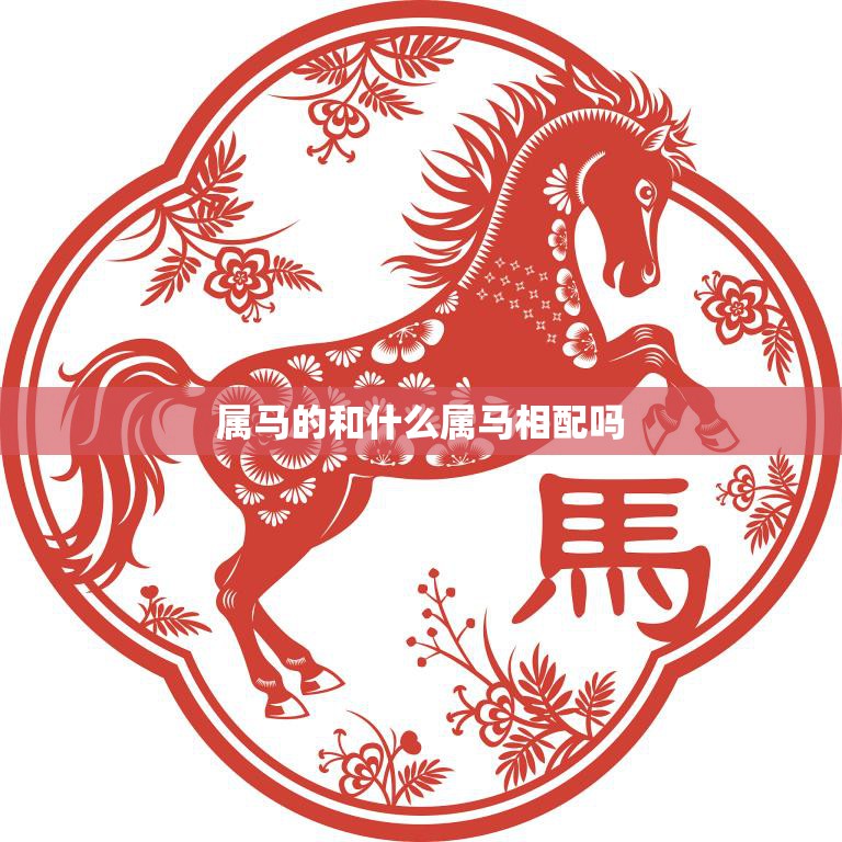 属马的和什么属马相配吗(马马相互配还是应该寻找其他属相的伴侣)