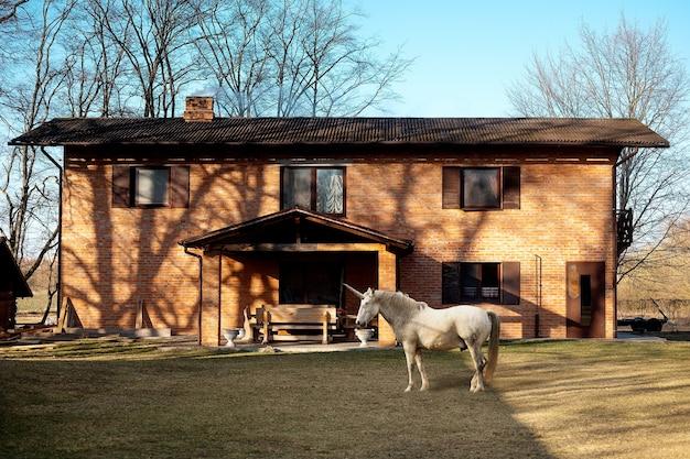 1990年属马是多少岁(如今已经是几岁了)