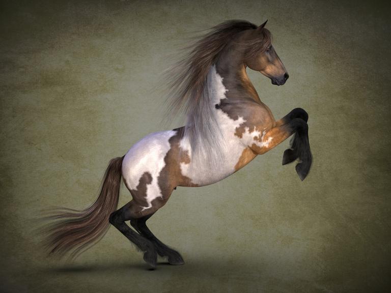 1990年属马婚姻状况(马年人的婚姻运势如何)