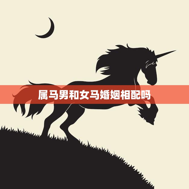 属马男和女马婚姻相配吗(星座专家揭秘)