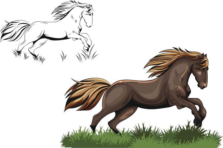 属马一生有几次婚姻状况(马儿情感丰富婚姻多变)