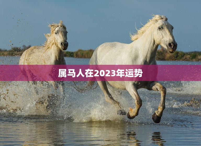 属马人在2023年运势(好运连连财源滚滚)