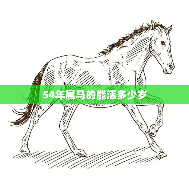 54年属马的能活多少岁(马儿飞奔寿命长短由自己)
