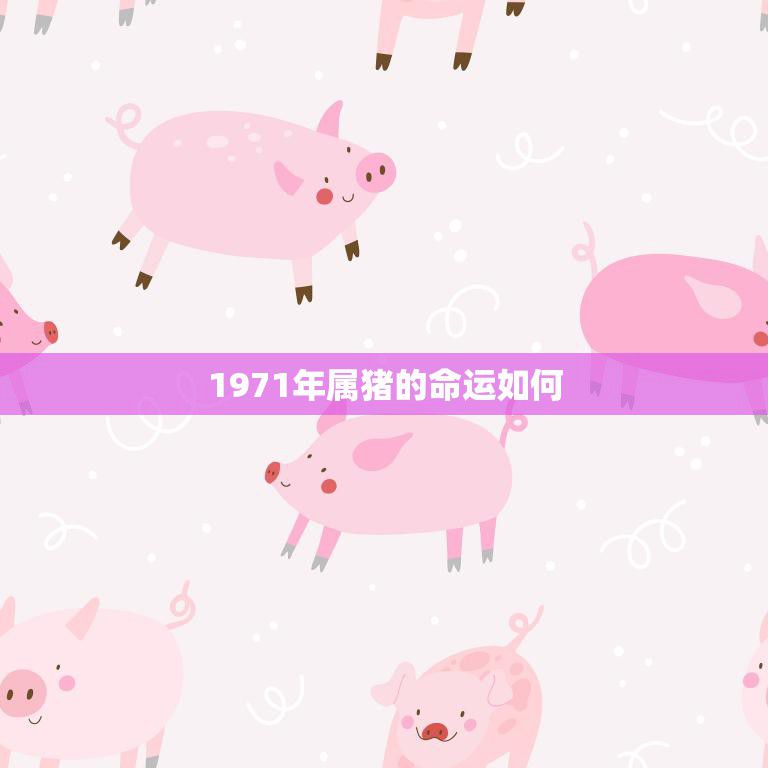 1971年属猪的命运如何(猪年运势解析)