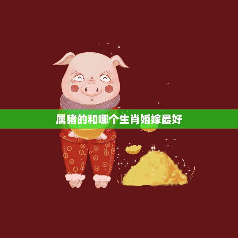 属猪的和哪个生肖婚嫁最好(最佳搭配大揭秘)