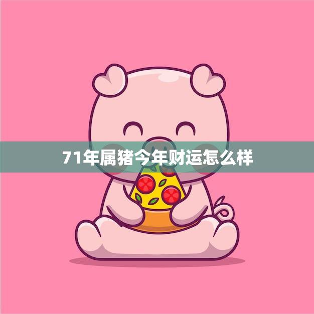 71年属猪今年财运怎么样(猪年财运大爆发财源滚滚来)