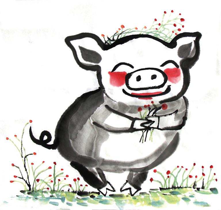 属猪的今年多大了多少岁了(猪年生肖运势大揭秘)