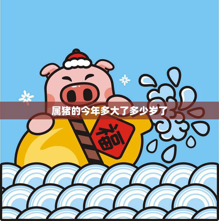 属猪的今年多大了多少岁了(猪年生肖运势大揭秘)