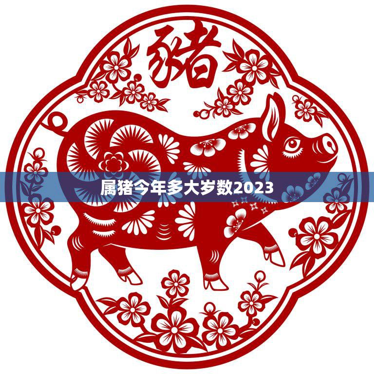 属猪今年多大岁数2023(猪年人的年龄计算方法及注意事项)