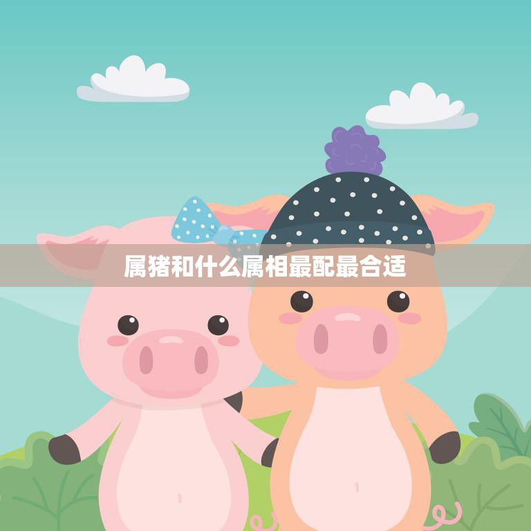 属猪和什么属相最配最合适(十二生肖配对大揭秘)