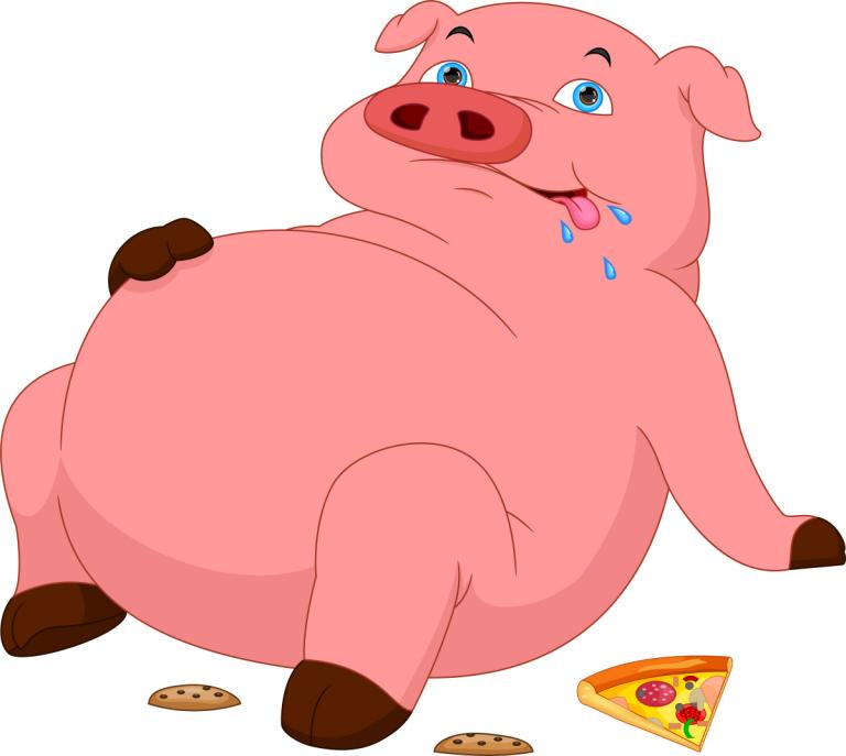 71属什么的今年多少岁(解密探寻属猪人的神秘性格与命运)