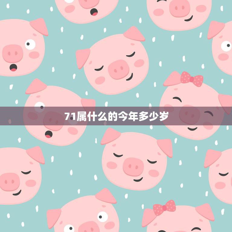 71属什么的今年多少岁(解密探寻属猪人的神秘性格与命运)