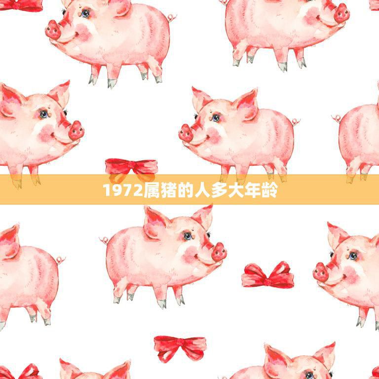 1972属猪的人多大年龄(如今已经是中年人了)