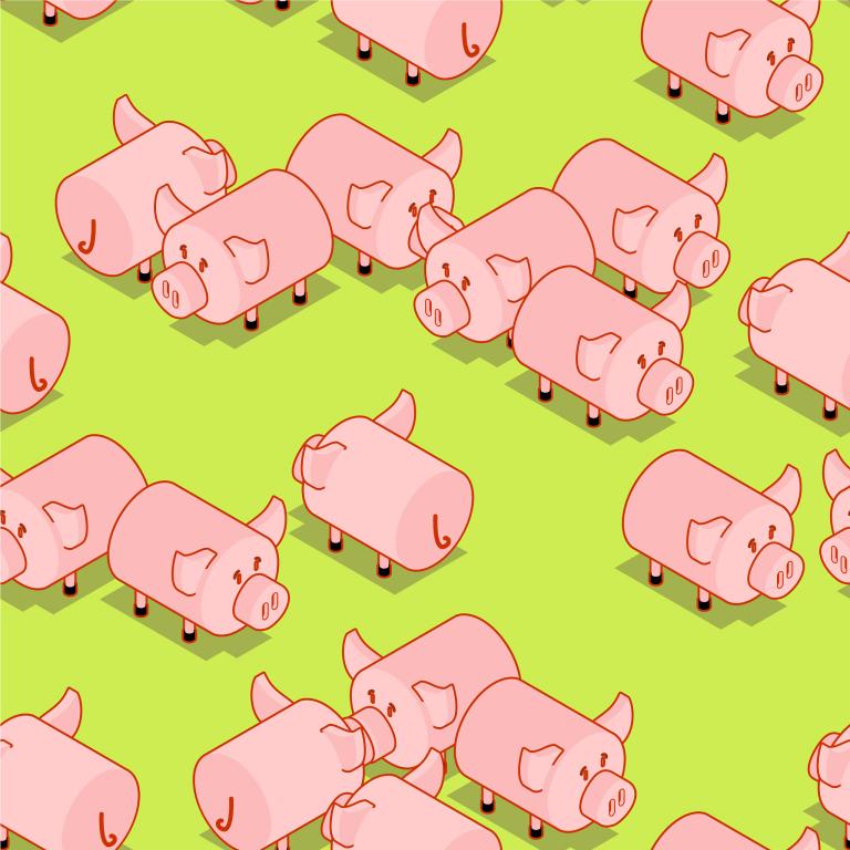 2023猪年运程1971(猪年重逢运势如何)