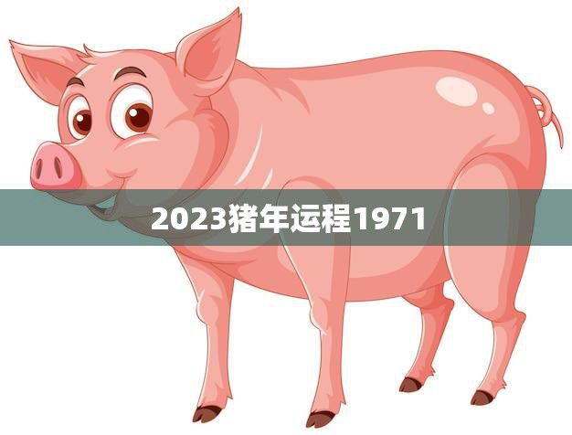 2023猪年运程1971(猪年重逢运势如何)