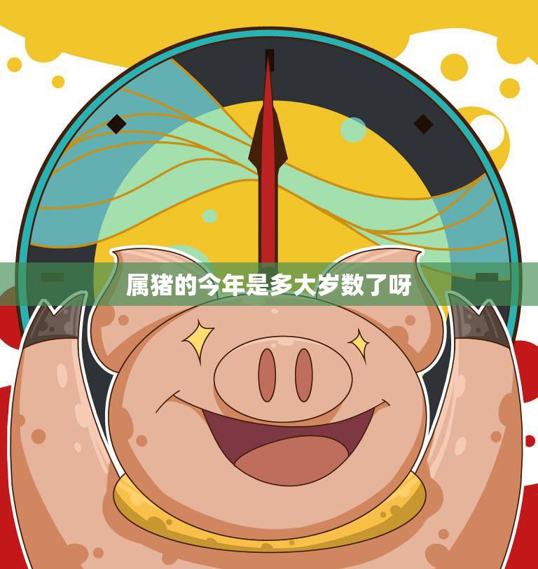 属猪的今年是多大岁数了呀(猪年生肖年龄计算方法详解)