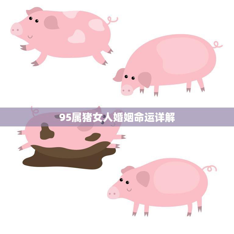 95属猪女人婚姻命运详解(如何避免婚姻危机)