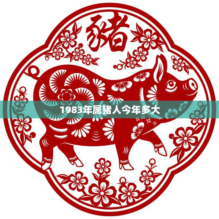 1983年属猪人今年多大(猪年大吉属猪人迎来38岁生日)