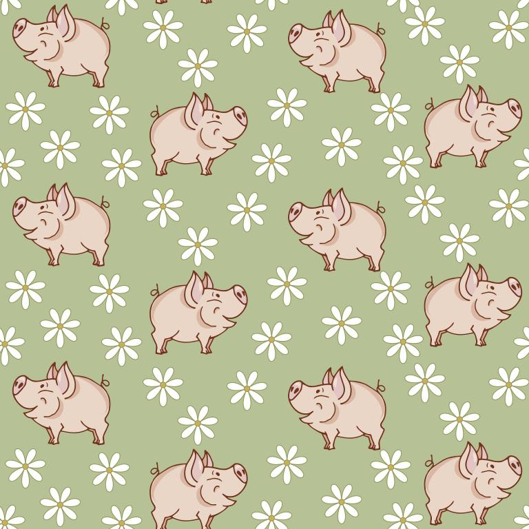 属猪今日运势每日运程抖音(掌握运势抖音带你飞)