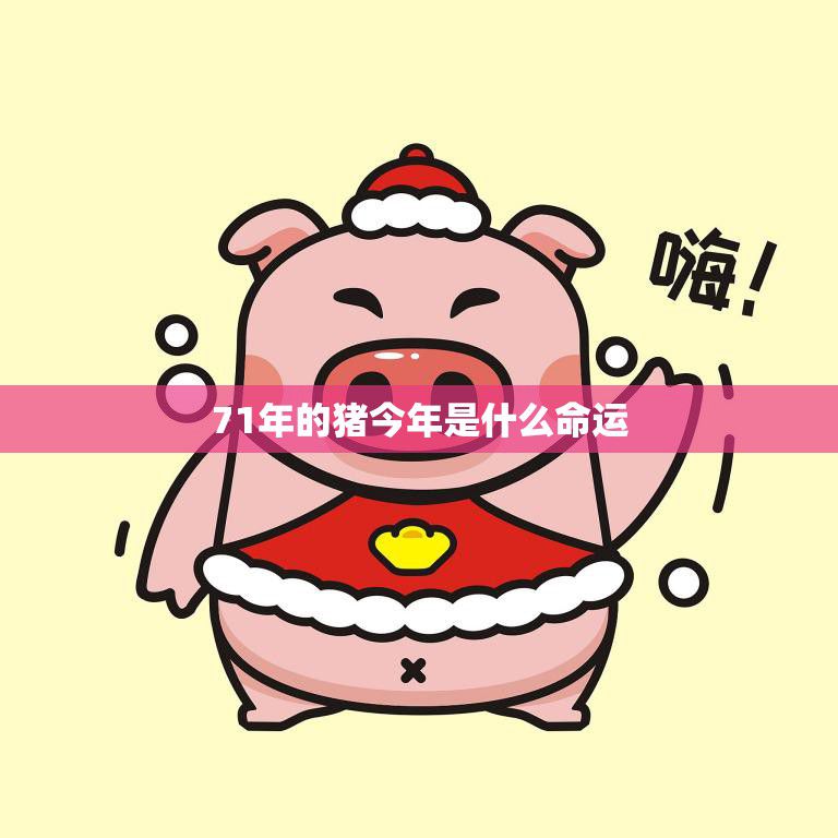 71年的猪今年是什么命运(2023年运势大揭秘)