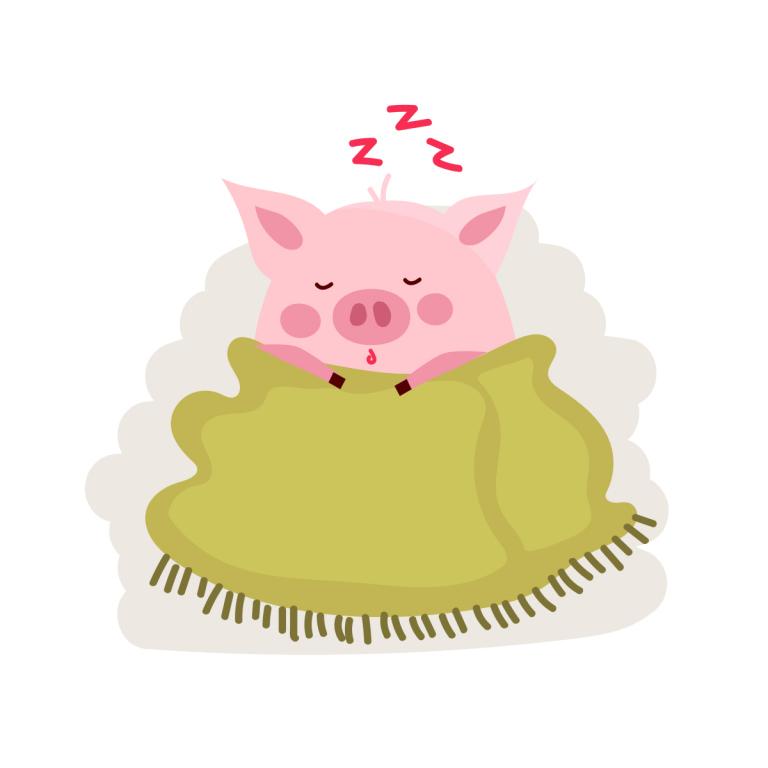 2023属猪的年龄对照表(猪年生肖年龄一览快来查看)