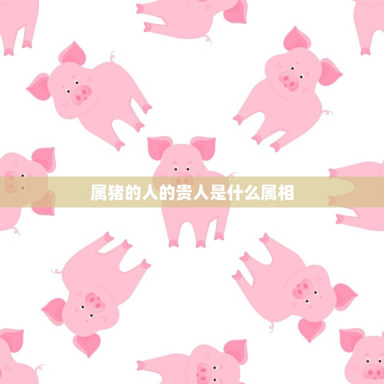 属猪的人的贵人是什么属相(揭秘猪年生肖配对贵人属相大揭秘)