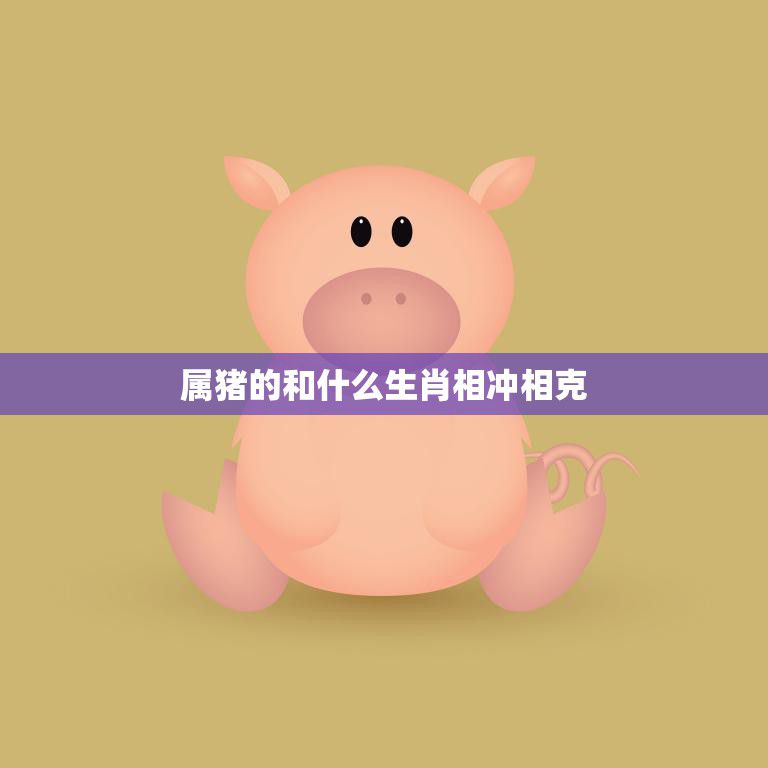 属猪的和什么生肖相冲相克(如何化解)