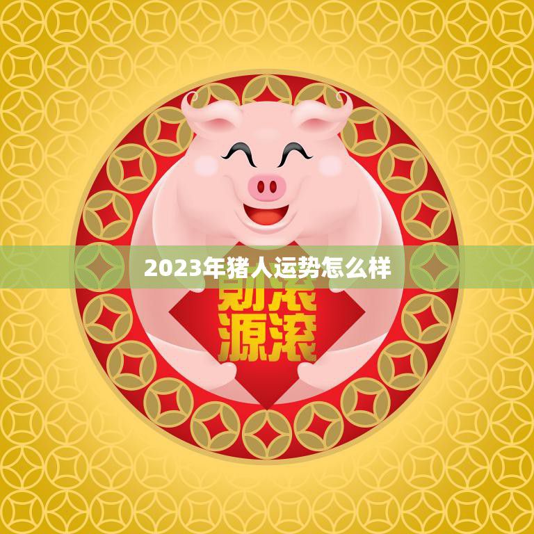 2023年猪人运势怎么样(猪人迎来财运亨通的一年)